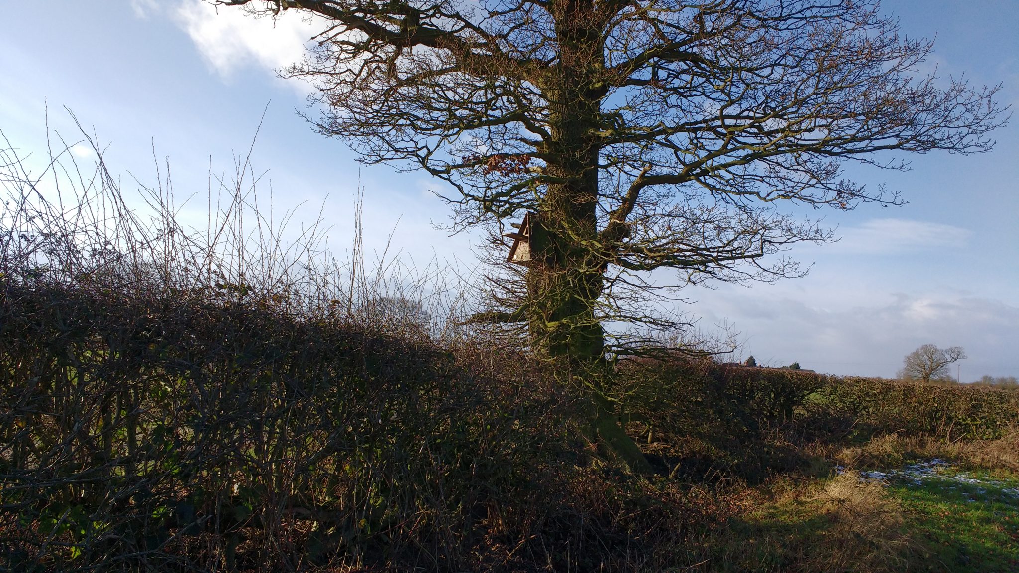 IMG_20180117_122719822 Duchy of Lancaster